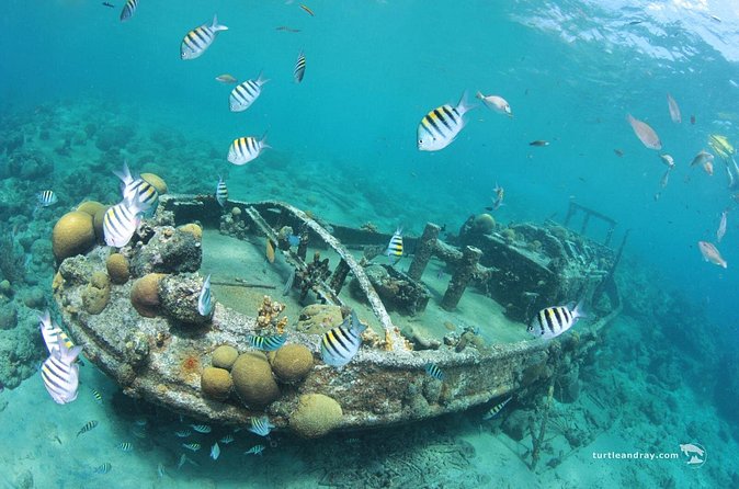 Snorkel Shore Trip with Scubaçao "East Point" - How the $110 price works out