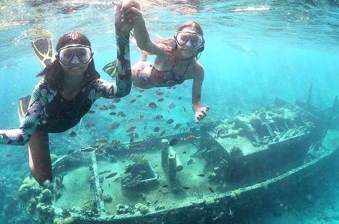 Snorkel Shore Trip with Scubaçao "East Point" - Who should book this Curaçao snorkeling trip