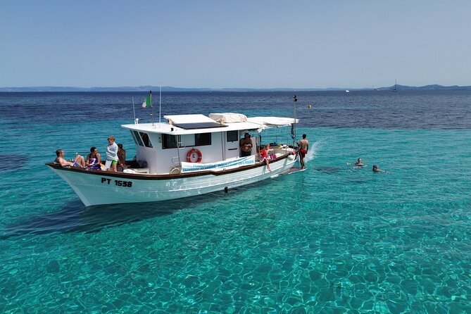 Snorkeling and Diving in the Gulf of Tavolara with Fishing - Key points to know before booking