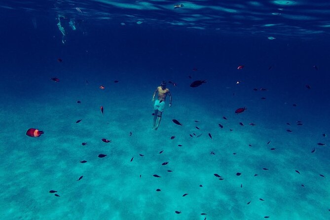 Snorkeling and Diving in the Gulf of Tavolara with Fishing - Space, shade, and the feel of a small group