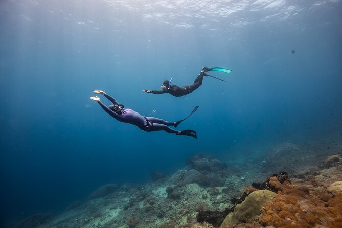 Snorkeling and Freediving Trip around Nusa Penida - Food, seasickness, and physical demands