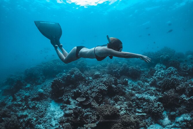 Snorkeling and Freediving Trip around Nusa Penida - Toyapakeh Wall brings the coral and fish