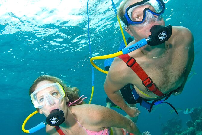 Snuba Cabo San Lucas Dive Without a Tank - Starting at Cabo San Lucas Marina