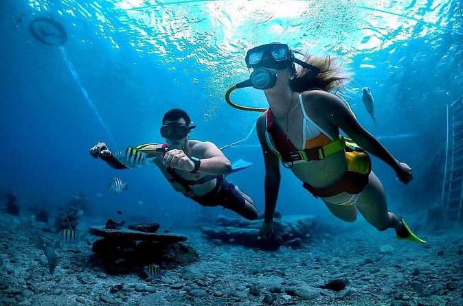 Snuba Cabo San Lucas Dive Without a Tank - El Arco and the photo stop