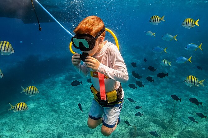 Snuba Cabo San Lucas Dive Without a Tank - La Ventana and Cabo’s open-water views