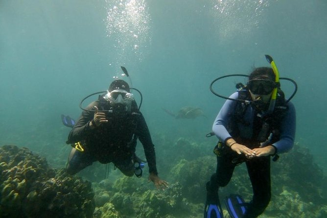 South Maui Discover Scuba Dive - Why the beach entry helps first-time scuba participants