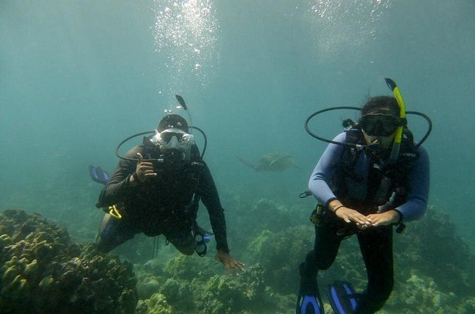 South Maui Discover Scuba Dive - Mike’s teaching style is central to the experience