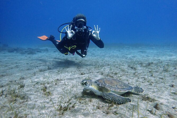 South of Tenerife : DSD Scuba Diving for beginners, Adeje - Starting at One Two Dive Tenerife in Costa Adeje