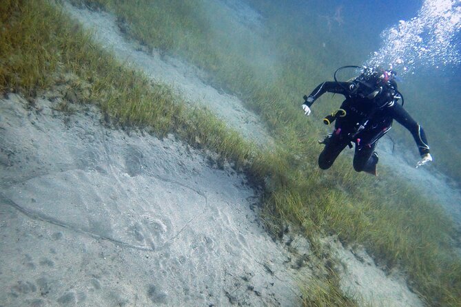 South of Tenerife : DSD Scuba Diving for beginners, Adeje - Learning the equipment before entering the water