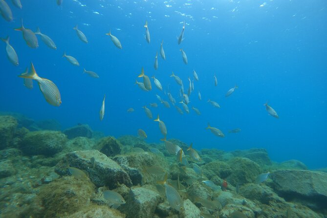 South of Tenerife : DSD Scuba Diving for beginners, Adeje - Shallow-water practice makes the first breath easier