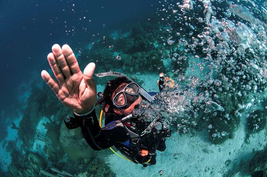 Southpoint Divers: Afternoon Reef Dive Trip - Key points to know before booking