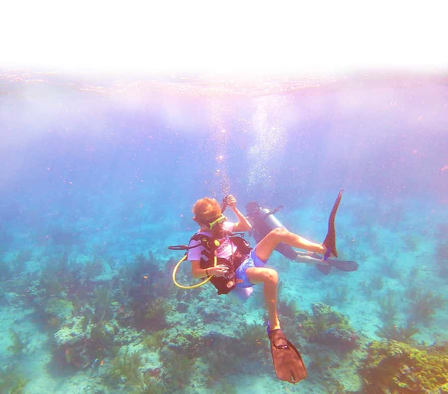 Southpoint Divers: Afternoon Reef Dive Trip - Two reef sites and a shallow underwater route