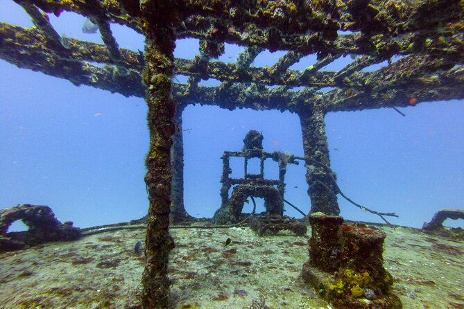 SPECIAL!! 2 Tank Wreck & Drift Reef dives - A small boat group with a personal feel