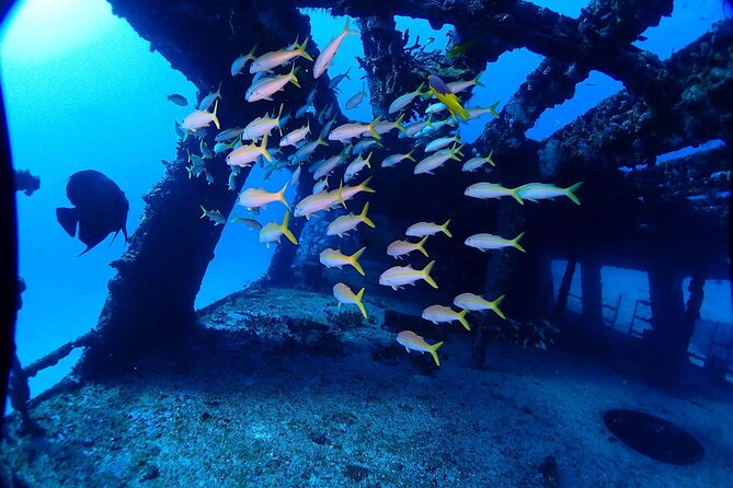 SPECIAL!! 2 Tank Wreck & Drift Reef dives - Practical details that can affect your day