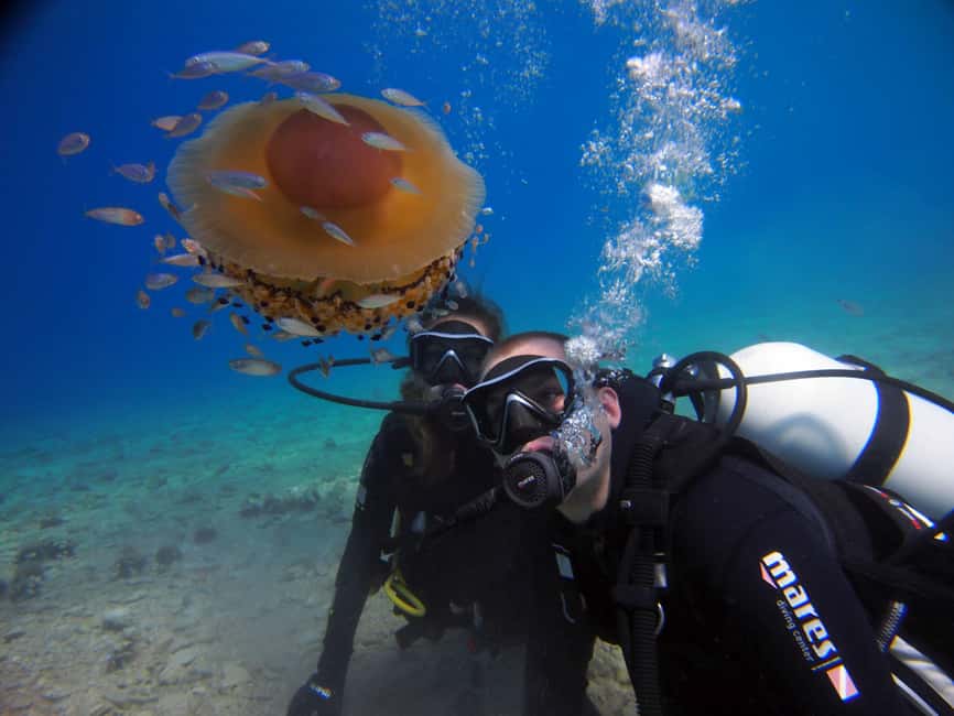 Split-Makarska-Brela Try SCUBA Dive - Key points at a glance