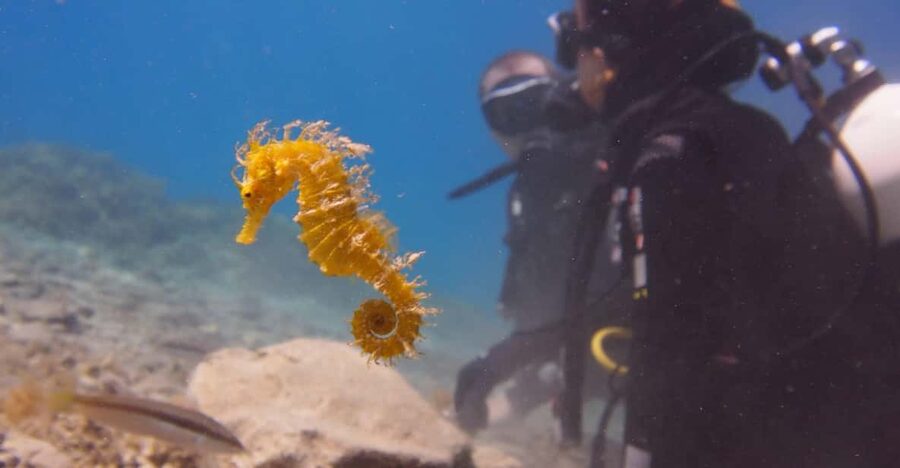 Split-Makarska-Brela Try SCUBA Dive - What happens before you enter the water