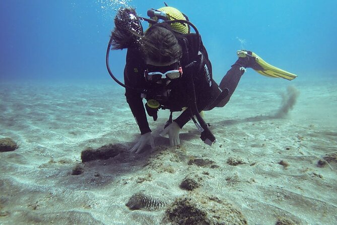 SSI basic diver In Tenerife - 2 Dives - Key points to know before booking