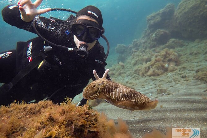 SSI Scuba Diver Course In Médano - Starting at 8:30 am in El Médano