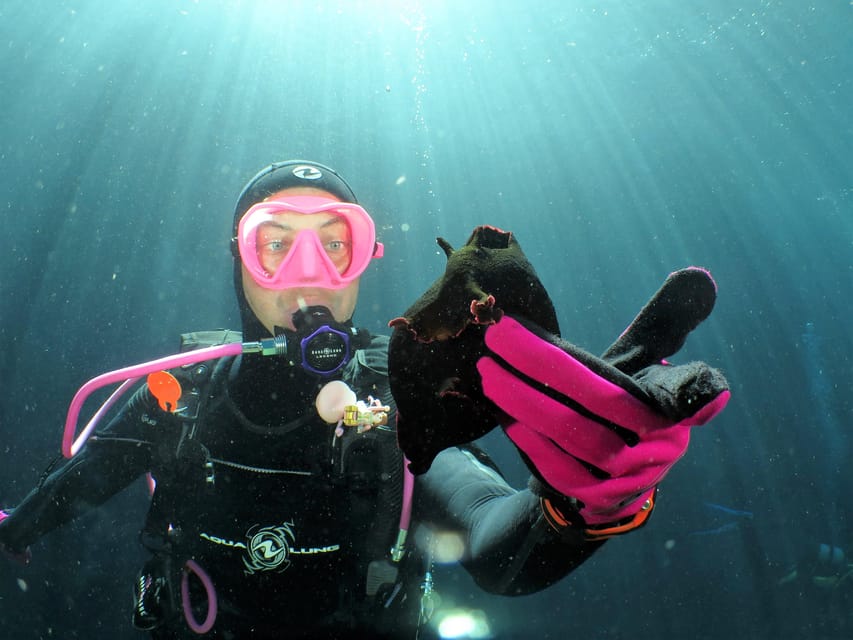 SSI Try Scuba Diving in the sea - A 30-minute session at the house reef