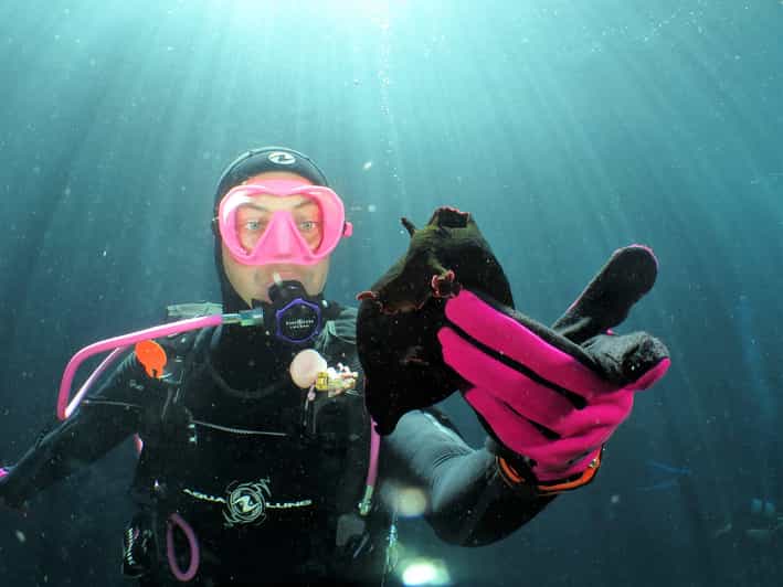 SSI Try Scuba Diving in the sea - What happens at the 3 p.m. meeting