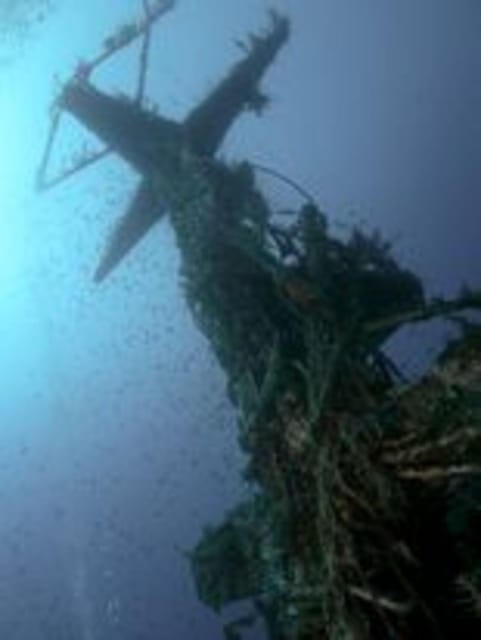 St Julians: Discover Scuba Diving Experience - The 30-minute safety briefing in St Julian’s
