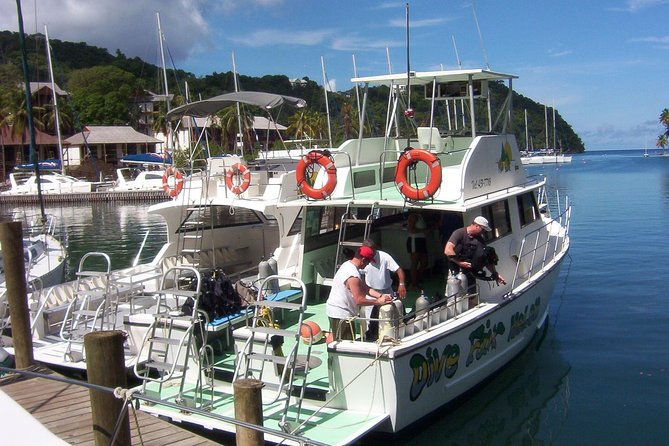 St Lucia Beginner Scuba Diving Tour - Anse Cochon or Soufriere Beach under the surface