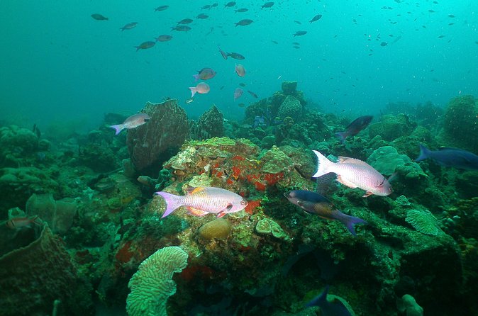 St Lucia Beginner Scuba Diving Tour - The boat ride along St. Lucia’s sheltered West Coast