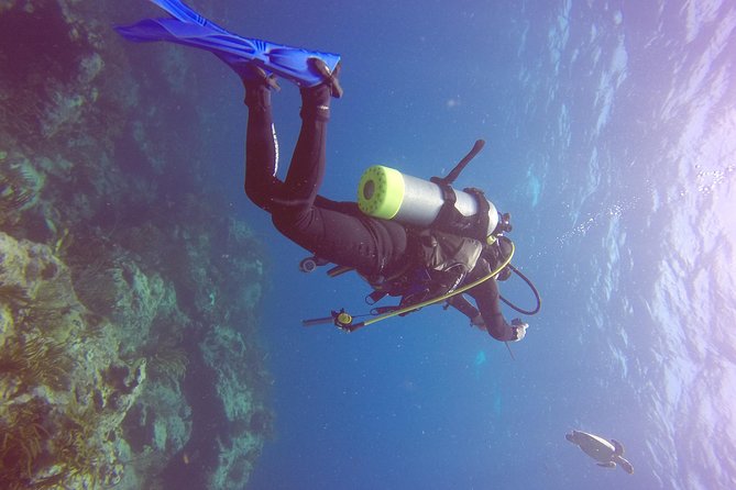 St Maarten Discover Scuba - Why the instructors matter more than the scenery