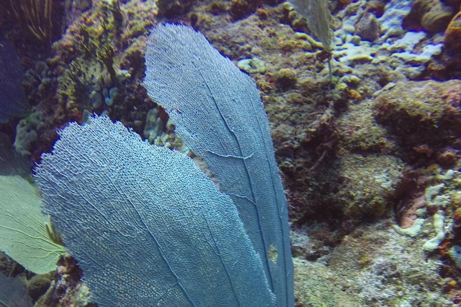 St Maarten Discover Scuba - Medical rules and the flight warning