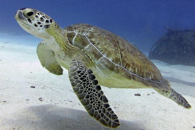 St Maarten Discover Scuba - Who will enjoy this most