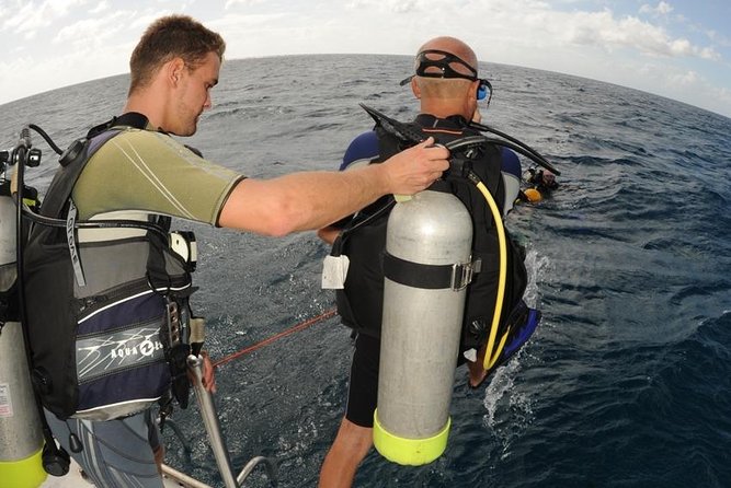 St Maarten Discover Scuba - Getting comfortable in calm Caribbean water