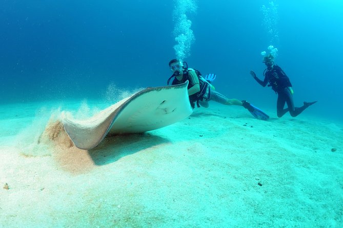 St Maarten Scuba Diving for Certified Divers - Key points at a glance