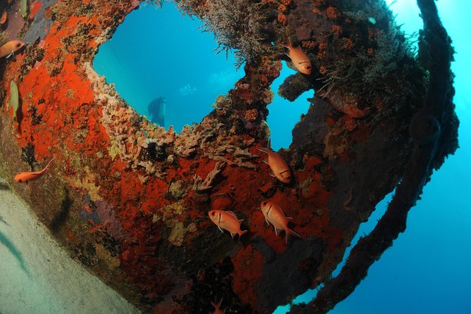 St Maarten Scuba Diving for Certified Divers - Why this St Maarten scuba trip is worth considering