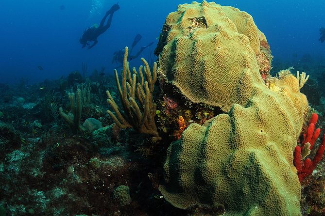 St Maarten Scuba Diving for Certified Divers - The Proselyte wreck and other underwater remains
