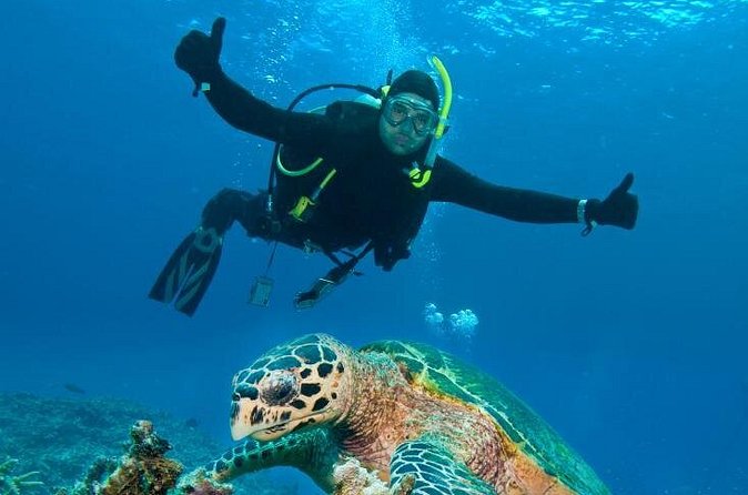 St Maarten Scuba Diving for Certified Divers - How the guides shape the experience