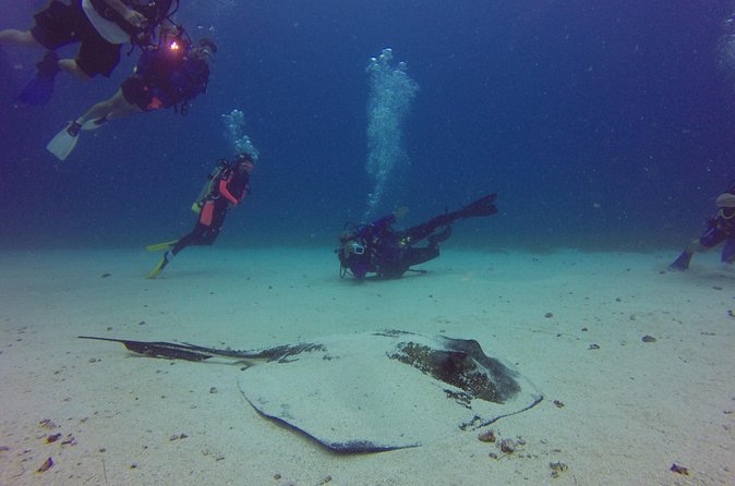 St Maarten Scuba Diving for Certified Divers - Certification and fitness rules you should take seriously