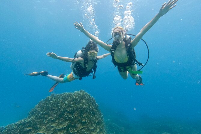 StandUp PaddleBoard Lesson and Experience Scuba Diving Package! - Key points to know before booking