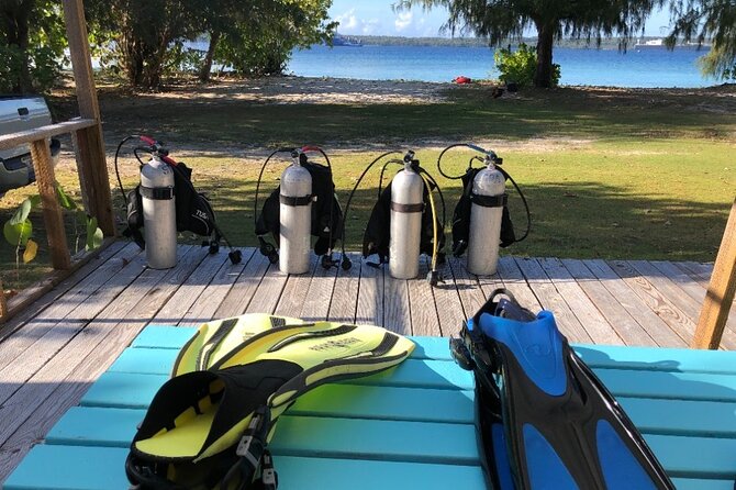 StandUp PaddleBoard Lesson and Experience Scuba Diving Package! - Who will get the most from this experience