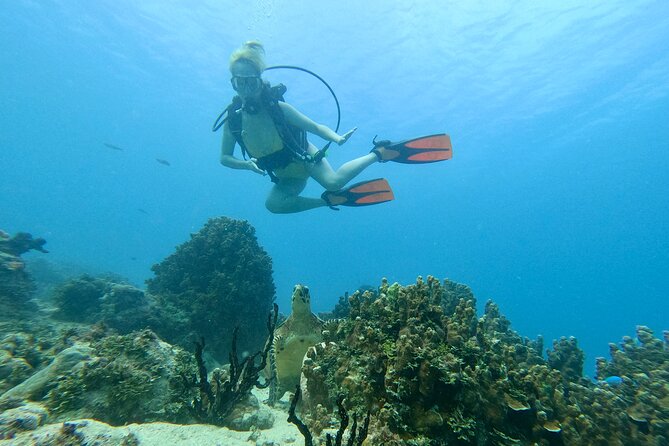 StandUp PaddleBoard Lesson and Experience Scuba Diving Package! - Learning to stand up on a paddleboard