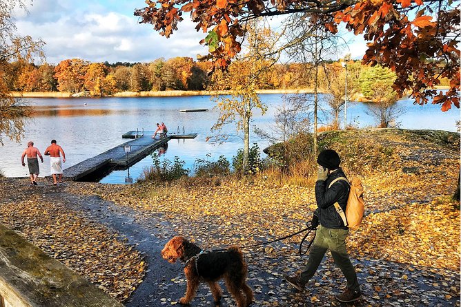 Stockholm Fire and Ice Tour! Dive into Swedish lifestyle! - The ride back keeps the outing active