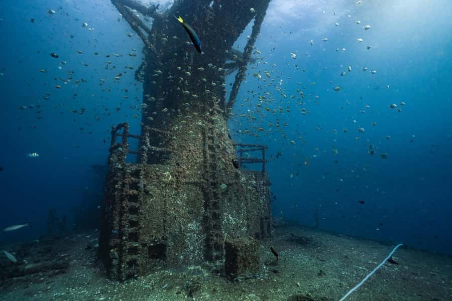 Sunshine Coast: Scuba Dive the Ex-HMAS Brisbane Ship Wreck - Who should book this wreck experience?