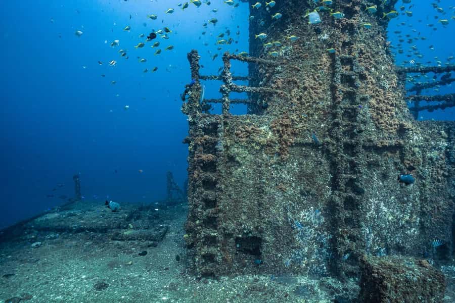 Sunshine Coast: Scuba Dive the Ex-HMAS Brisbane Ship Wreck - Should you book the Ex-HMAS Brisbane?