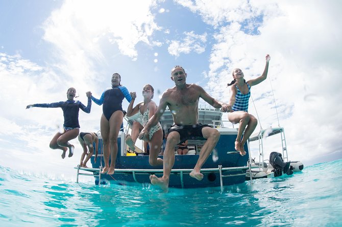 Swim with Whale Sharks in the Ningaloo Reef: 3 Island Shark Dive - Professional photos let you watch instead of record