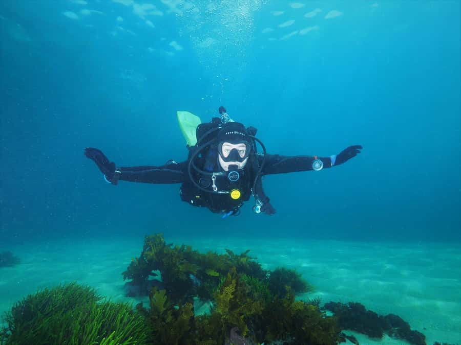Sydney: Discover Scuba Dive at Australia's most Iconic Beach - Key points to know before booking
