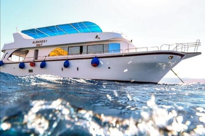 Take advantage of a half-day boat dive experience in Red sea of Aqaba. - One guided underwater session in clear Red Sea water