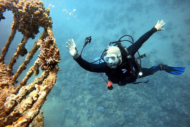 Take advantage of a half-day boat dive experience in Red sea of Aqaba. - Snorkeling and swimming after the main activity