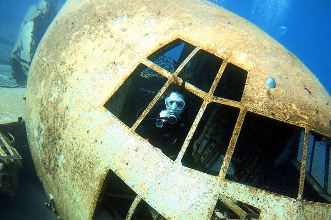 Take advantage of a half-day boat dive experience in Red sea of Aqaba. - Lunch, drinks, and time on deck
