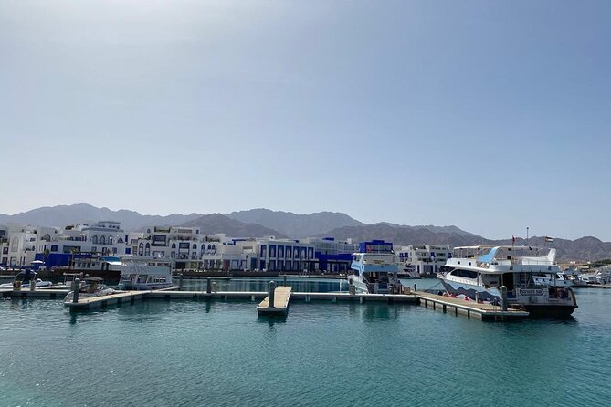 Take advantage of a half-day boat dive experience in Red sea of Aqaba. - Is $150 a fair price?