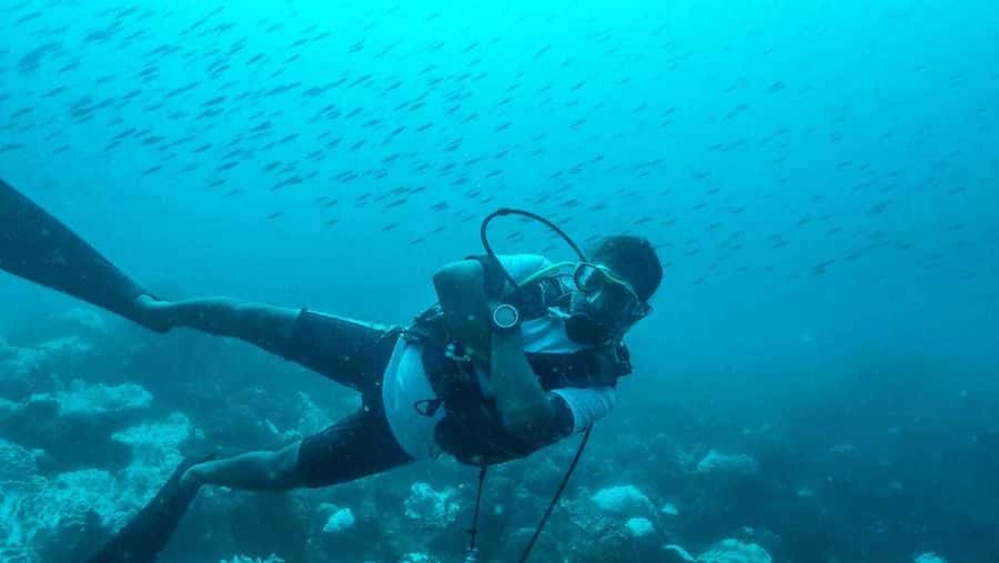 Tamarin Bay: Beginners Scuba Diving Experience - At Tamarin OceanPro Diving LTD