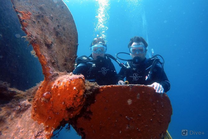 Taormina Scuba Diving Experience - How this compares with taking a full PADI course